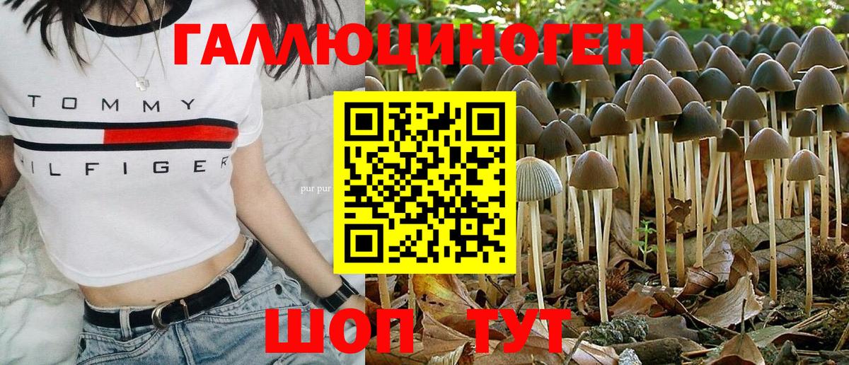 Псилоцибиновые грибы прущие грибы  Галлюциногенные грибы GOLDEN TEACHER  Новоалтайск  Вход с VPN 